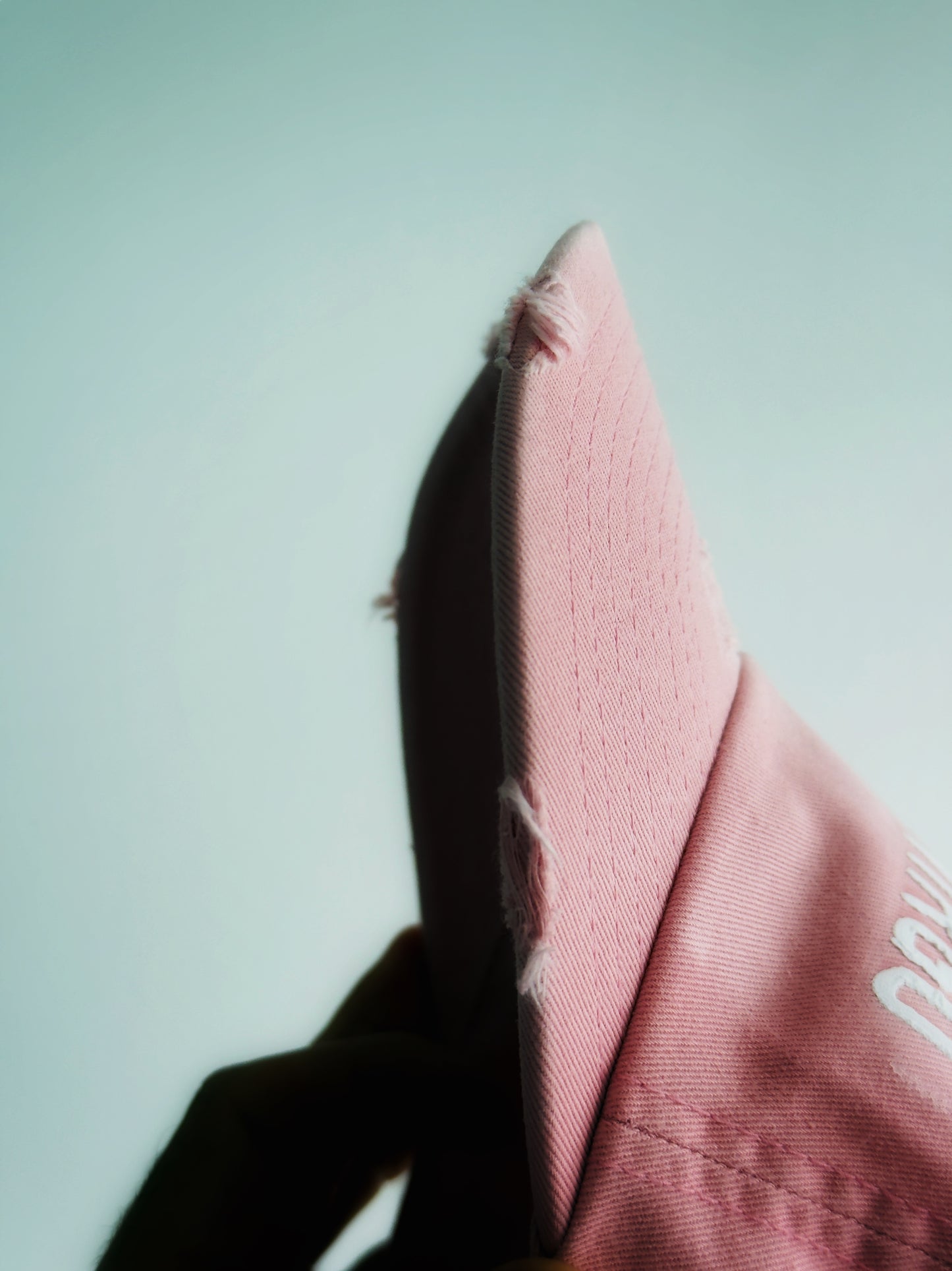 SPLIT LOGO | Washed Pink Cap